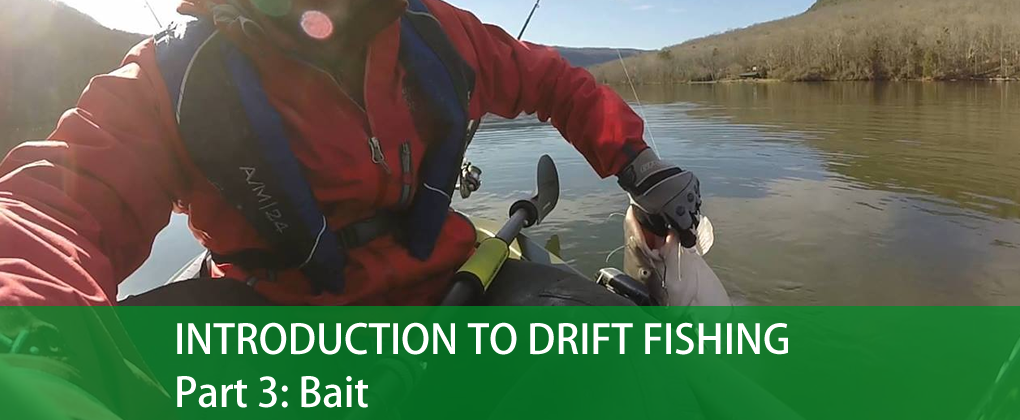 Introduction To Drift Fishing, Part 3: Bait