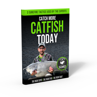 Catch More Catfish Today: 3 Surefire Tactics Used By The Experts (Digital Version)