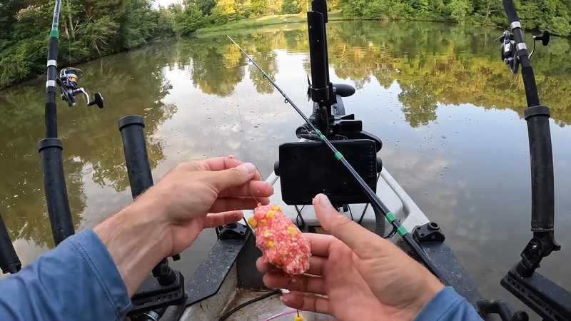 what pack bait to use for carp