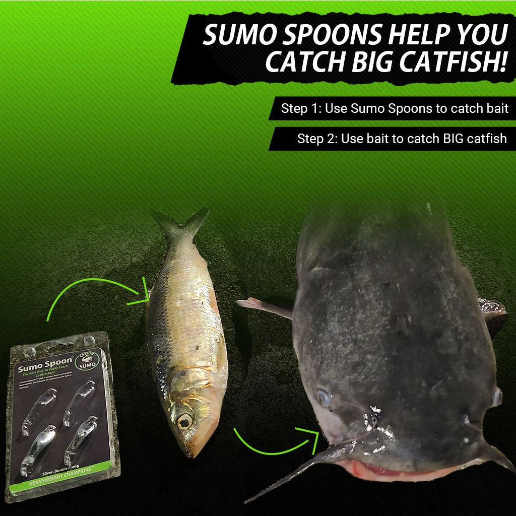Sumo Spoon for Catfish Bait, 1-5/8 – Catfish Sumo