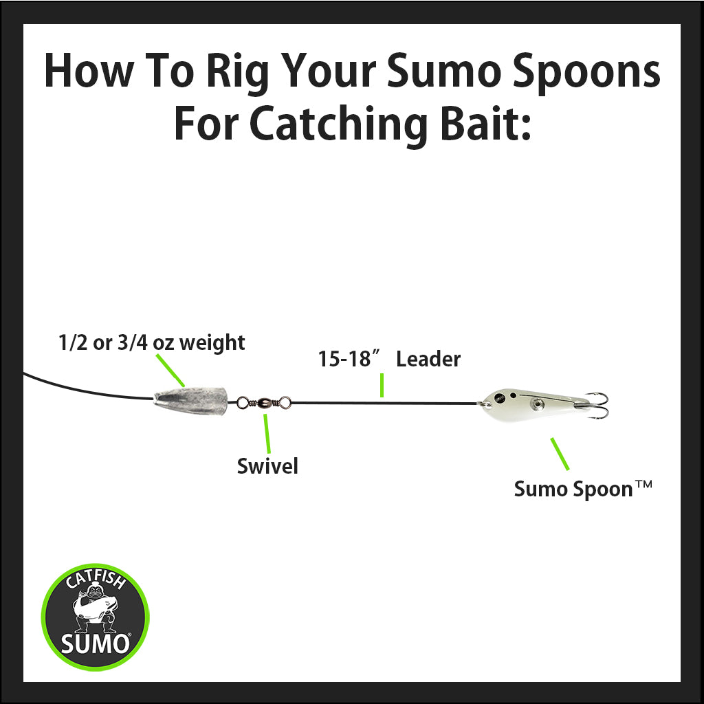 Sumo Spoon for Catfish Bait, 1-5/8"